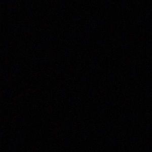 Meet your Posher, Lani